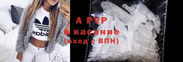 ECSTASY Гусь-Хрустальный