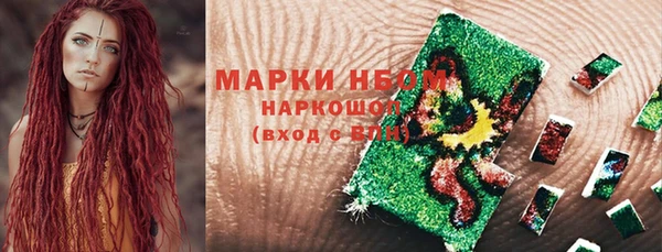 ECSTASY Гусь-Хрустальный