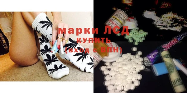 ECSTASY Горняк