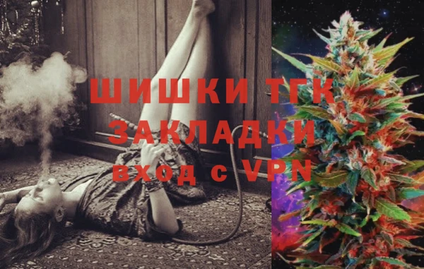 СК Горнозаводск