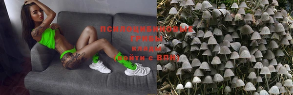 ECSTASY Гусь-Хрустальный