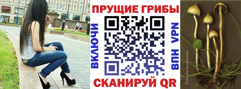 Галлюциногенные грибы MAGIC MUSHROOMS  Купить  Нефтеюганск 
